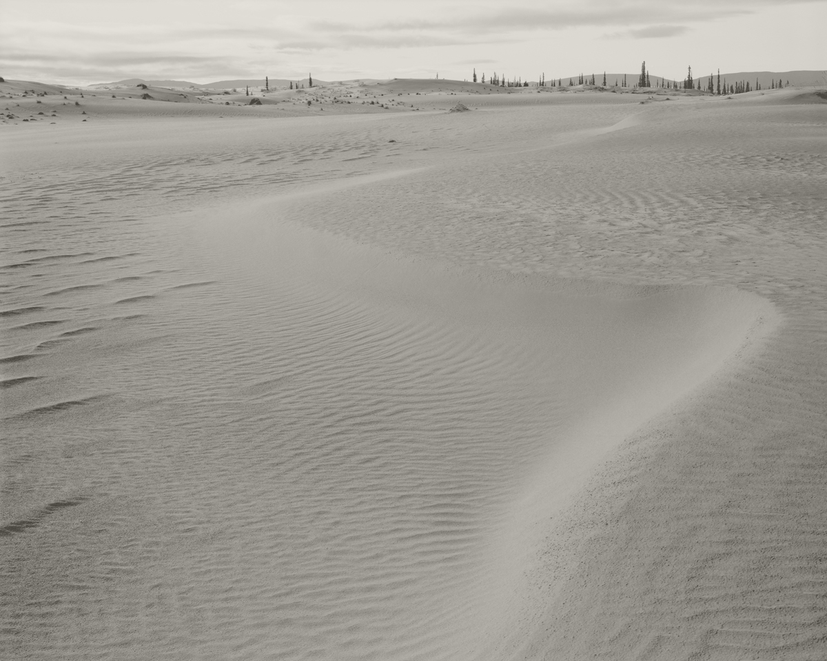 Kobuk Great Sand Dunes. Alaska